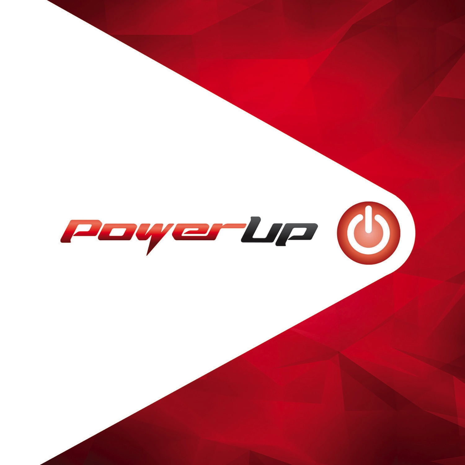 Power Up Electric Inc